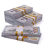 $100,000 Prop Money (10 Stacks of $100 Bills, New Series)